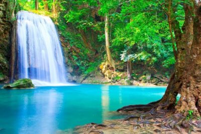 Forest waterfall flowing into a turquoise pool beside tree roots, a calming scene to reducir estres 1.
