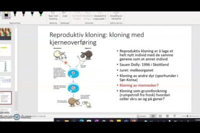 Presentation slide diagram showing the nuclear transfer method for reproductive cloning labeled reproduktiv kloning 3