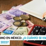Argumentos a favor y en contra del salario minimo