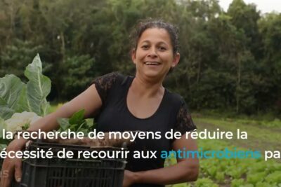 Smiling farmer carrying a crate of fresh vegetables in a field representing sante humaine 5 and reduced antimicrobial use.
