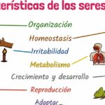¿Los virus no son seres vivos? Argumentos contra su naturaleza celular