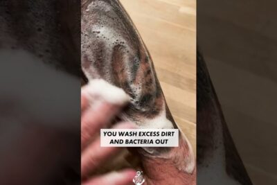 Hand scrubbing soapy lather over a dark leg tattoo to clean and care for tatoveringer vare.