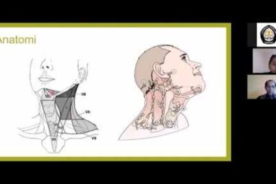 Anatomical diagrams of the neck and larynx displayed in a virtual lecture slide emphasizing teknologi laring