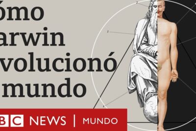 Split-image poster with classical statue engraving, nude human figure and geometric diagram alongside a Spanish-language headline about evolution - teoria evolucion 1