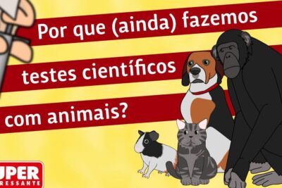 Illustrated dog, cat, guinea pig and chimp beside a syringe and Portuguese question about testes animais