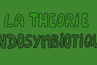 Green hand-drawn banner with the phrase theorie endosymbiotique 1 in bold outlined letters