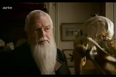 Elderly bearded man in a dim study examining a skull while reflecting on theorie levolution