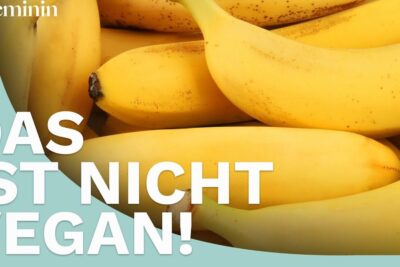 Ripe yellow bananas with bold German text 'Das ist nicht vegan!' referencing tierische produkte 1.