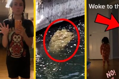 Eerie collage showing a mirror selfie with a circled background anomaly, a circled object floating in water, and a small child standing in a dim hallway - titta pa 1
