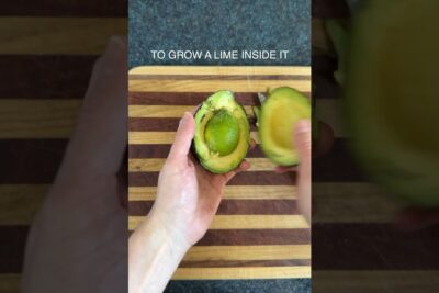 Hand holding a halved avocado with a lime lodged in the pit cavity, illustrating transgenen lebensmitteln.