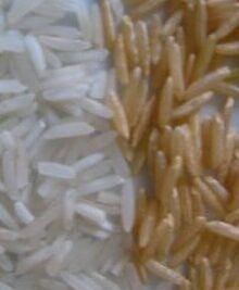 Macro image of white and brown rice grains illustrating transgenetiska matvaror