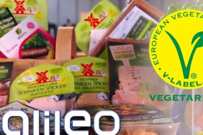 Assorted packaged vegetarian deli products and a European V-label emphasizing vegetarische ernahrung 3.