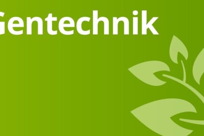 Green banner with stylized leaves and the word Gentechnik, illustrating biotech concepts for veranderte lebensmittel 1