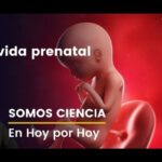 Descubre la vida prenatal: Argumentos científicos contra el aborto
