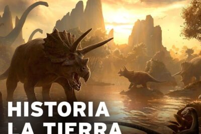 Sunlit scene of triceratops and other dinosaurs by a river in a prehistoric landscape, vida tierra 3.