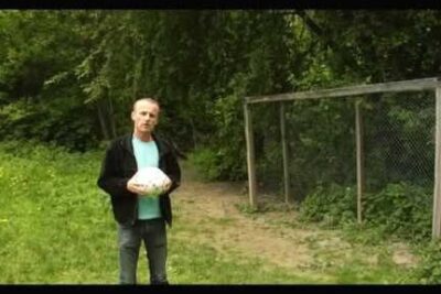 Man holding a white ball next to a chain-link fence in a green wooded clearing, viktig a 146.
