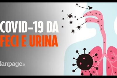 Stylized medical illustration of throat and lungs with viral particles and arrows demonstrating how virus possono spread through feces and urine.
