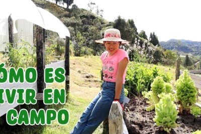 A smiling person in a sun hat tending raised beds and lettuce in a green rural garden that illustrates vivir campo.