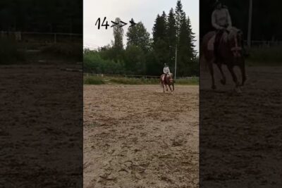 Rider on a brown horse in an outdoor sandy arena under an overcast sky, voi olla 17